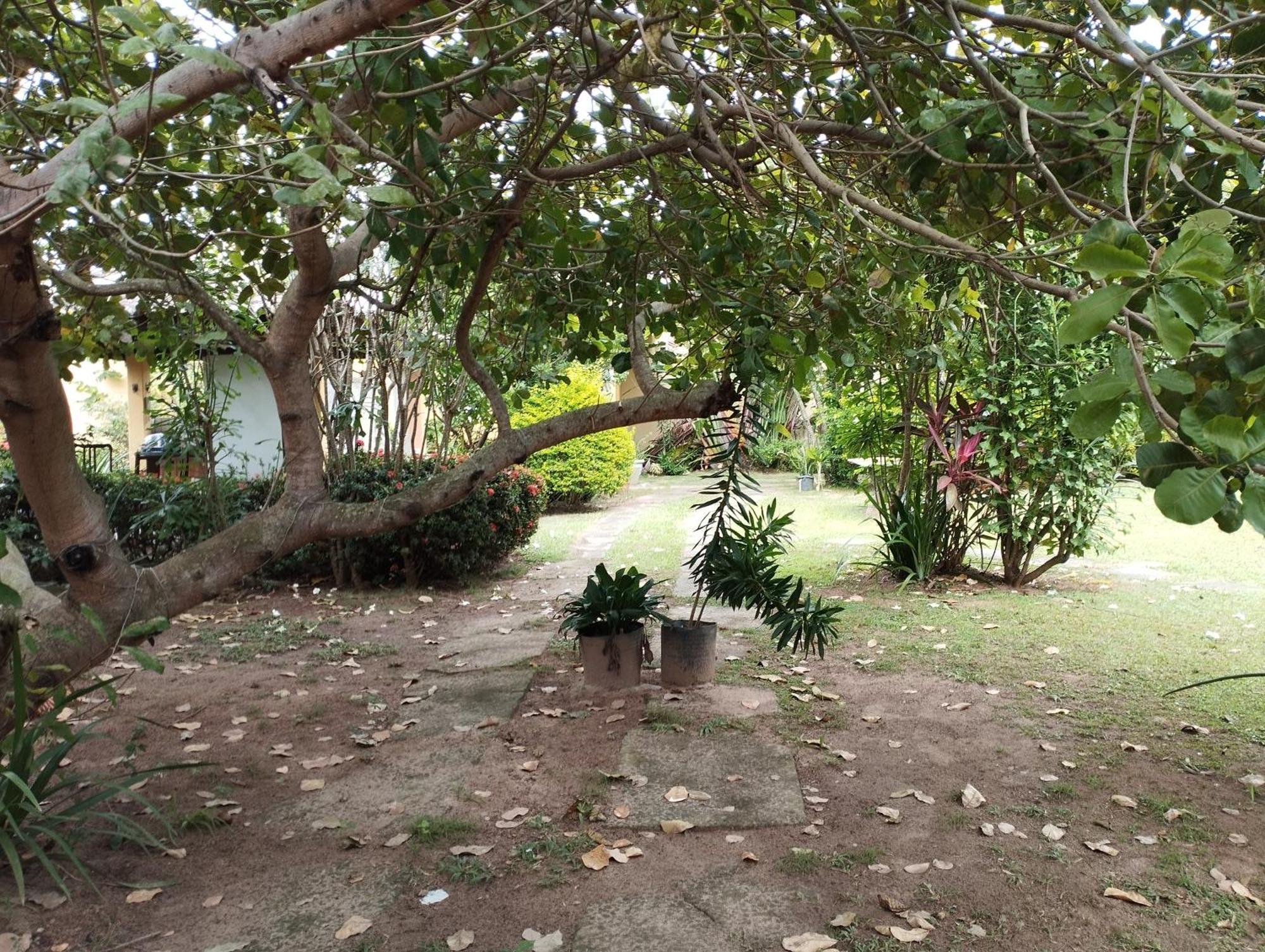 Lumiar Garden Suites E Chales Em Vilas Do Atlantico Lauro de Freitas Exteriér fotografie